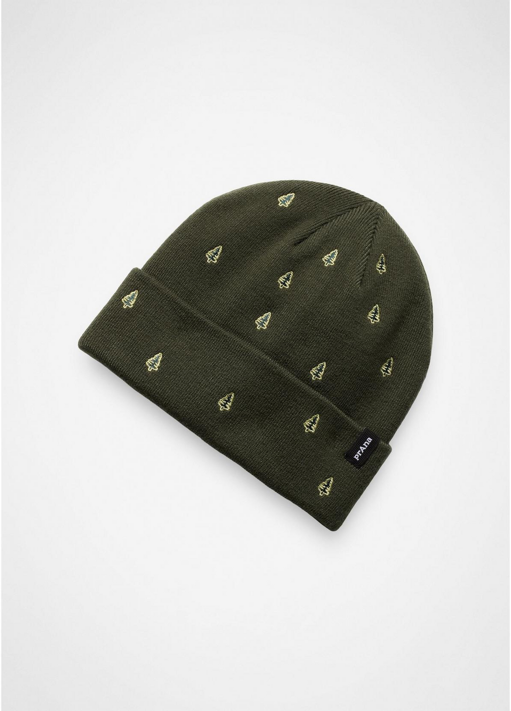 Wild Now Beanie