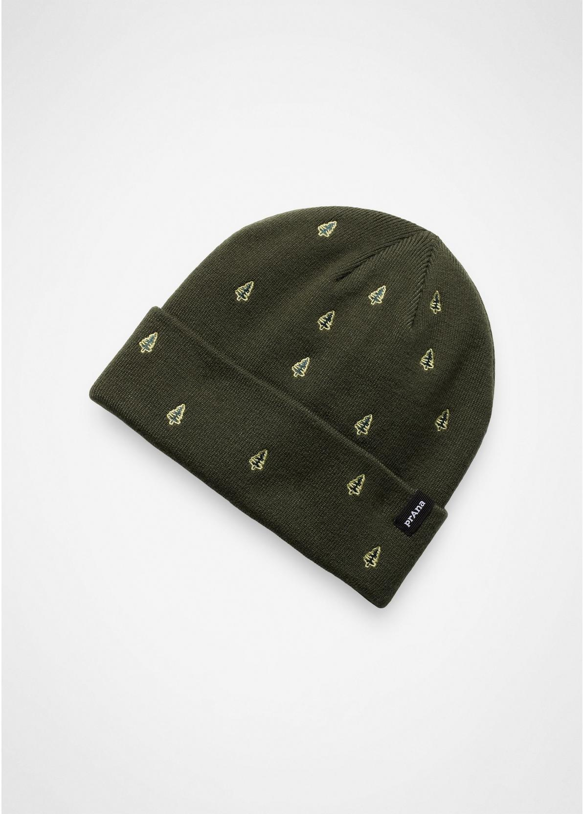 Wild Now Beanie