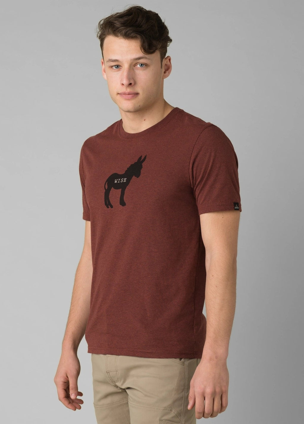 Wise Ass Journeyman Tee Men's