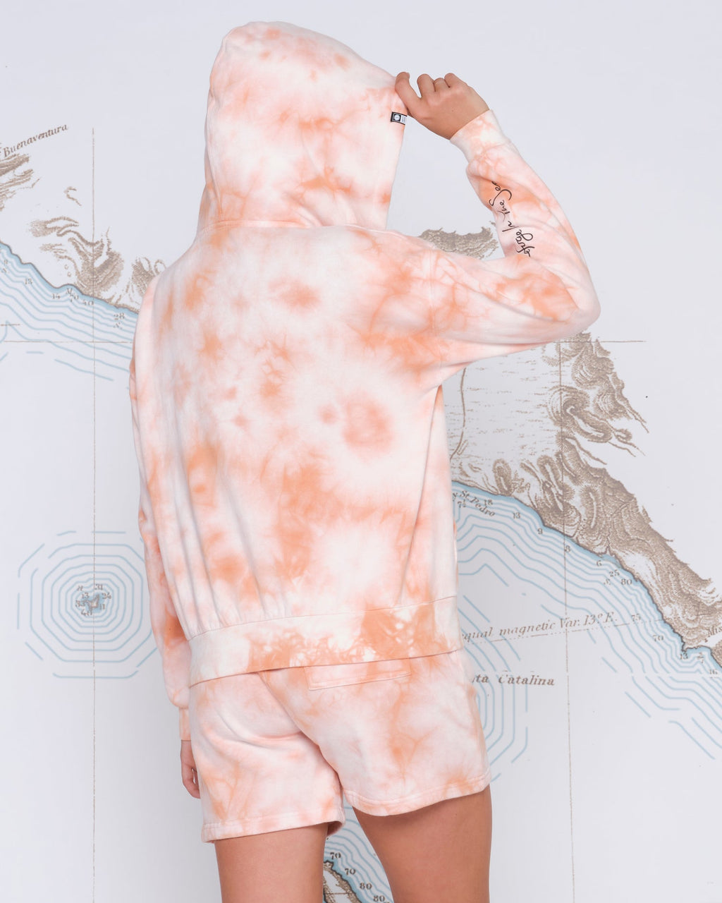 Alpha Zip Hoody Women's