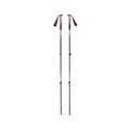 Trail Vista Shock Trekking Poles