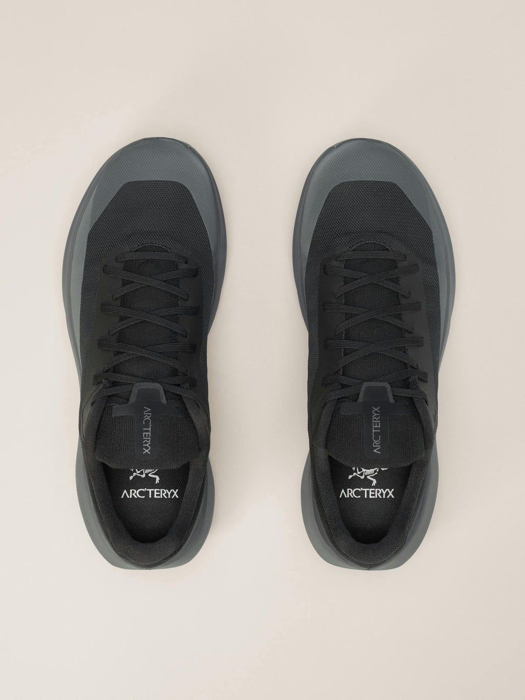Norvan LD 4 Shoe Men's