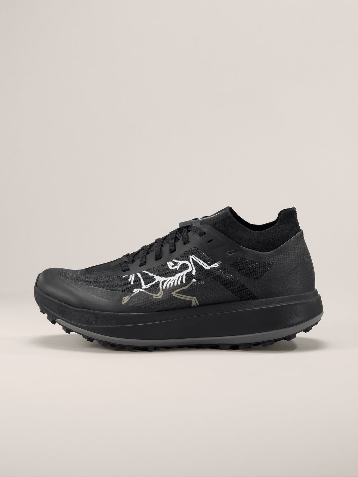 Sylan Pro Shoe Men's