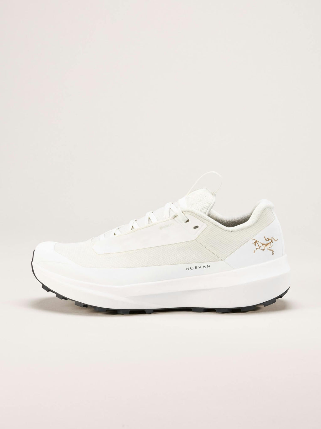 Norvan LD 4 GTX Shoe Men's