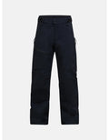 Alpine Gore-Tex Insulated Pant M's