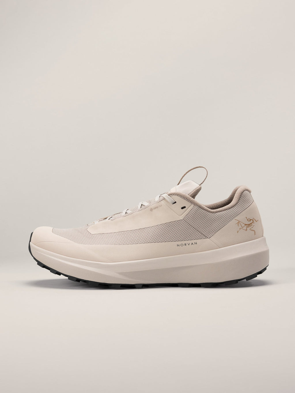 Norvan LD 4 GTX Shoe Men's