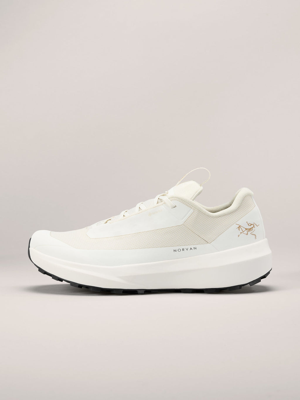 Norvan LD 4 GTX Shoe Women's