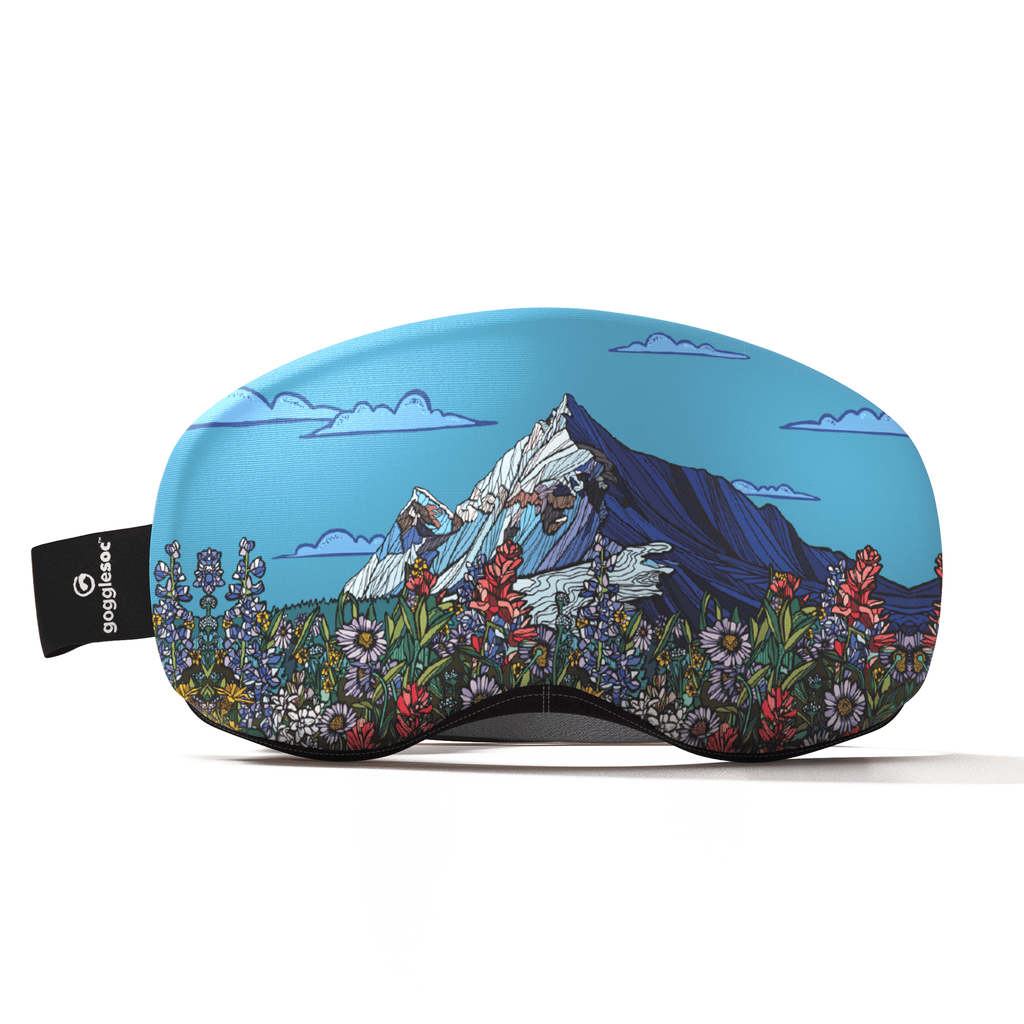 Goggle Soc Pro