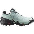 Speedcross 6 GTX Shoe Women's