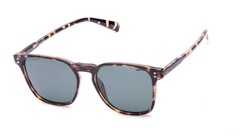 Winward Sunglasses