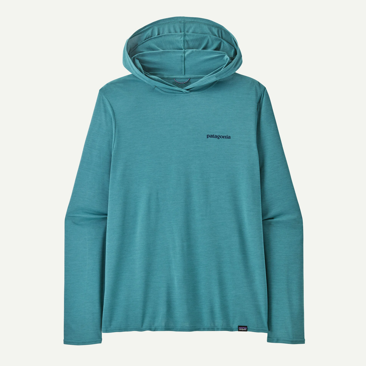 Capilene Cool Daily Graphic Hoody Men's