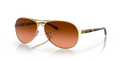 Feedback Sunglasses