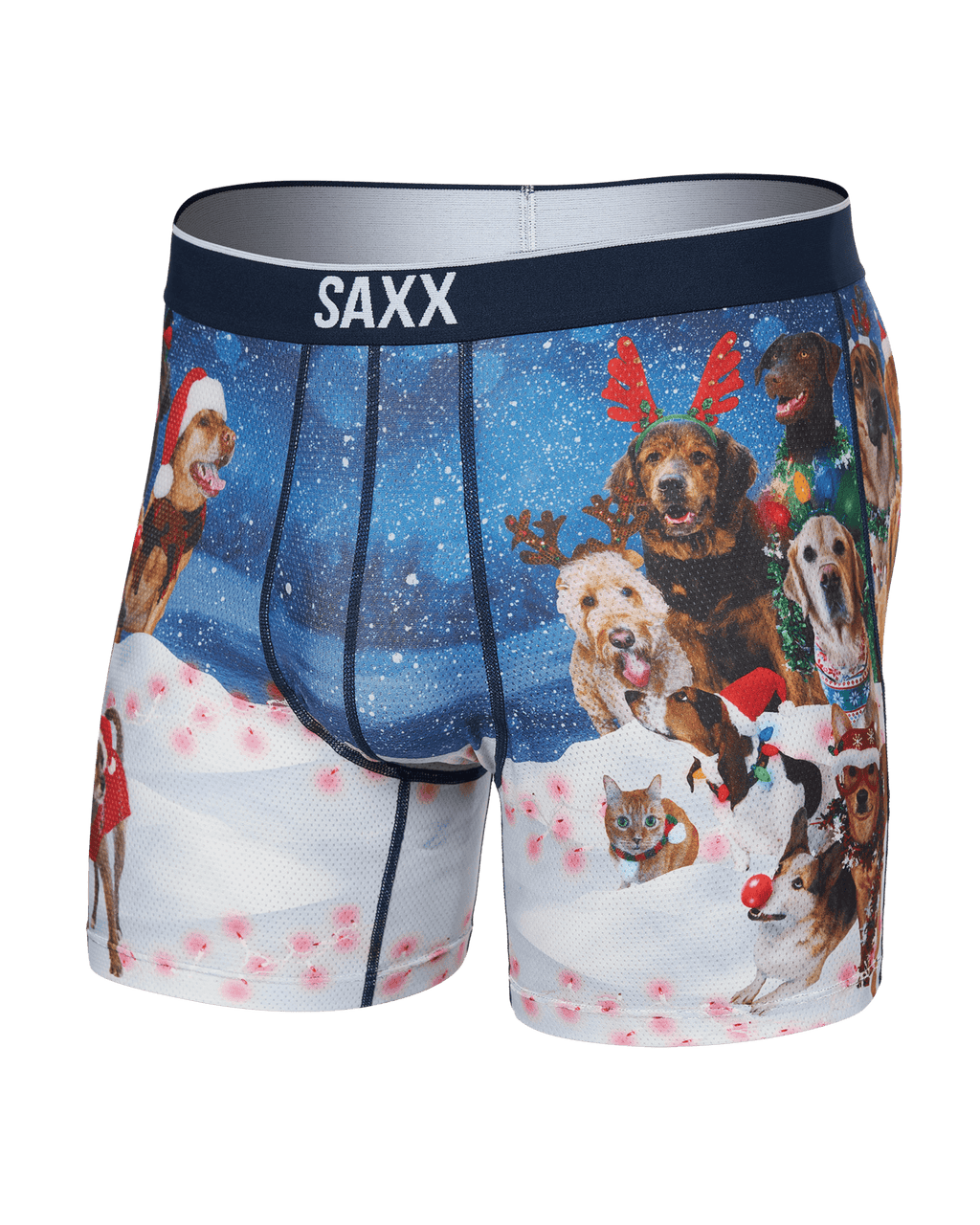 Volt Boxer Brief Men's